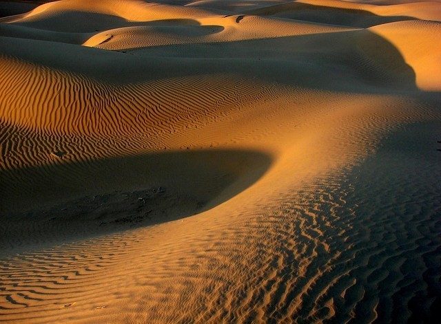Sunset on dunes of Thar Desert
