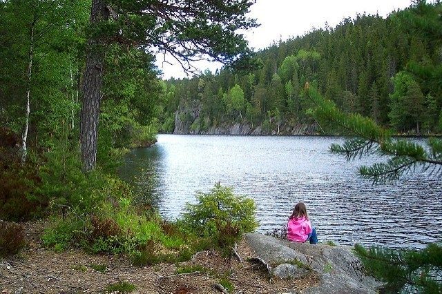 wetlands lake