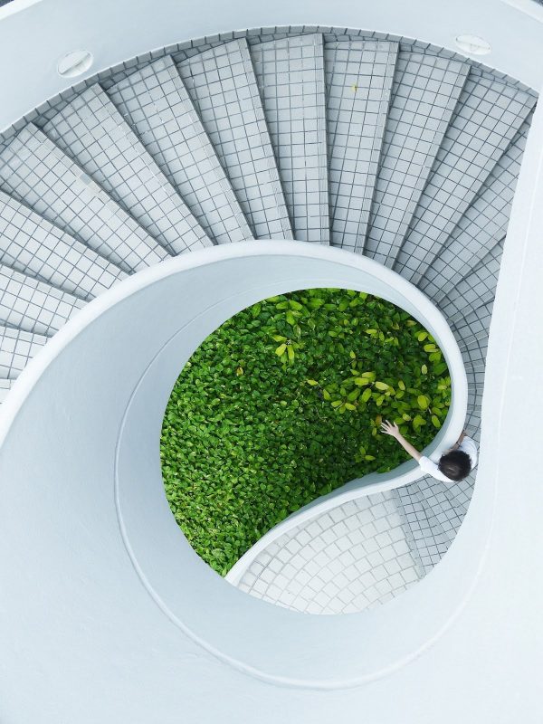 spiral staircase with plants 