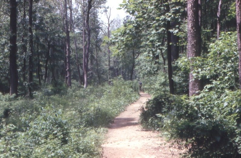 Dumbarton Oaks trail. Photo by National Park Service