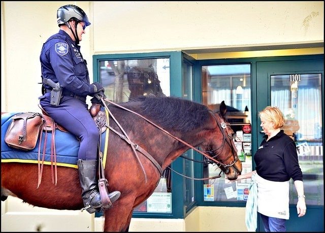 Seattle mounted police
