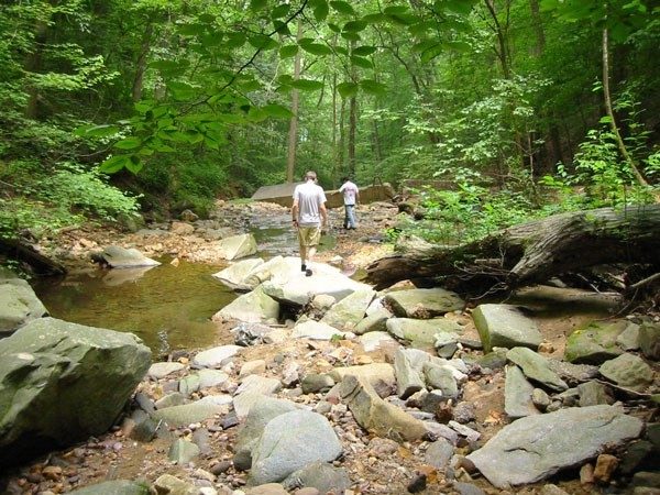 people hiking along a stream