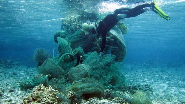 diver removes fishing nets