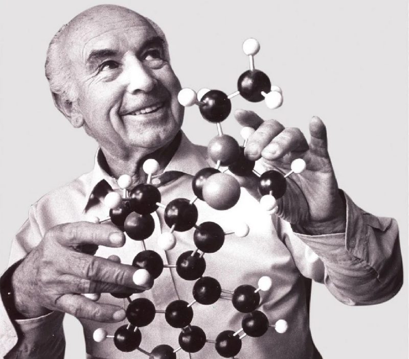 Image of Albert Hoffman holding a web model