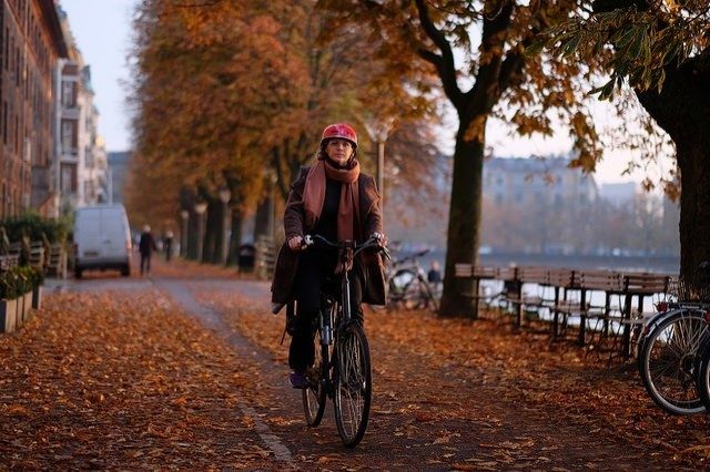 bicycling in Copenhagen