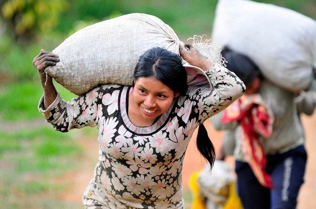 women carrying sacks of coffee