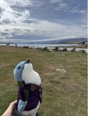 stuffed toy bird in front of open field