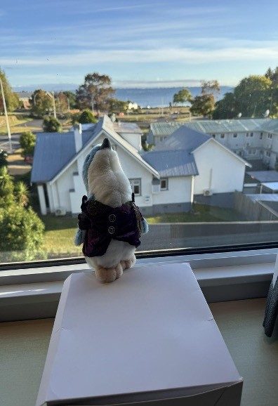 stuffed toy bird in front of small home