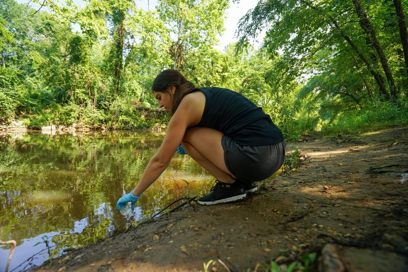 As a Water Quality Monitor with Anacostia Riverkeeper, Lindsay took water samples along the Anacostia Watershed to analyze bacteria levels.