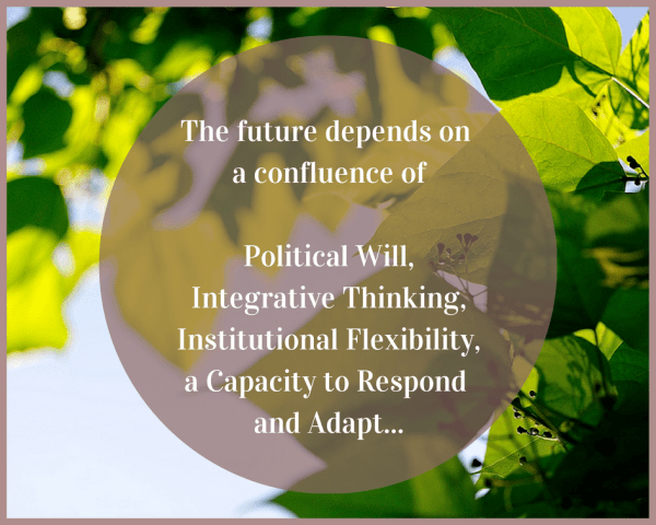 The future depends on a confluence of political will, integrative thinking, institutional flexibility, a capacity to respond and adapt graphic