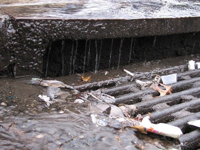 dirty storm drain