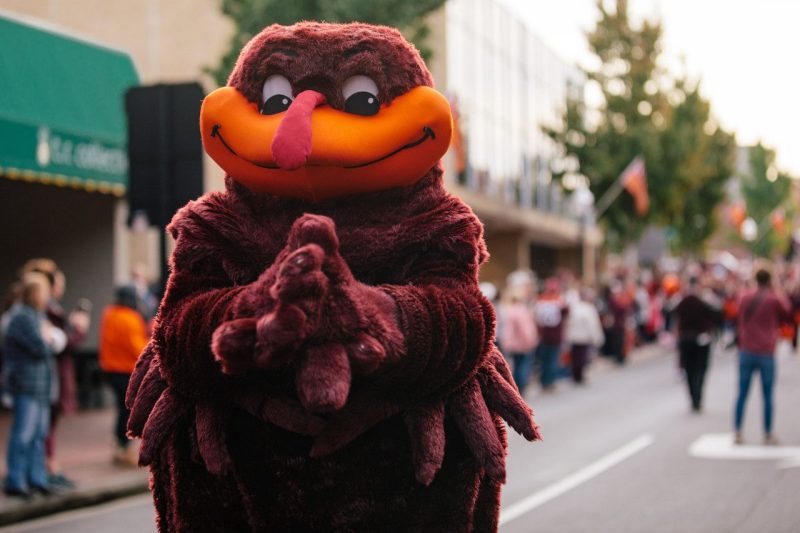 VT Hokie bird 