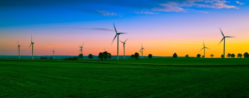 rural sunset with windmills