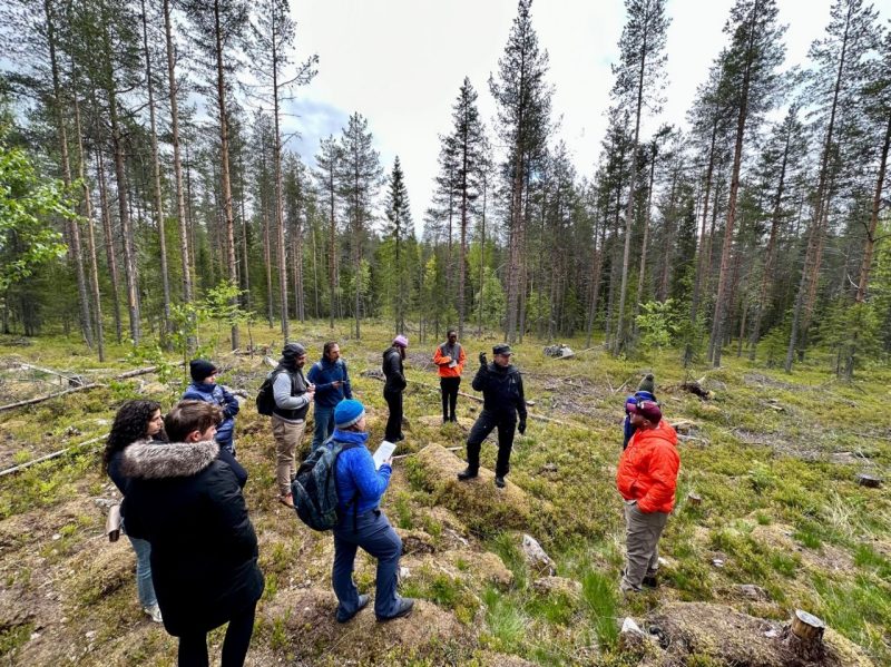 Students during a Global Study trip to Finland learning about sustainable forestry. 