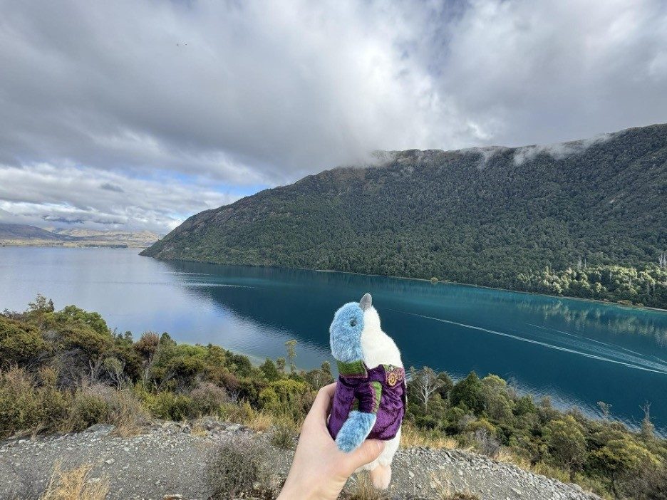 stuffed toy bird in front of water and mountains
