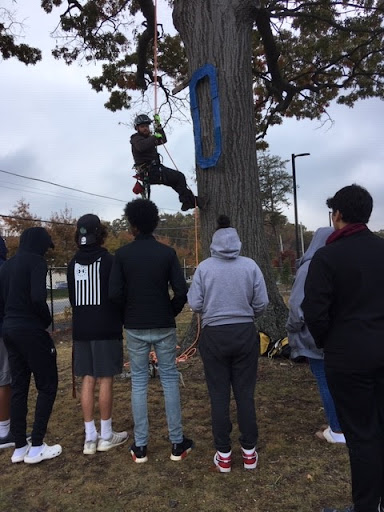 An arborist visits an 11th- and 12th-grade environmental science class to teach students about environmental careers. Photo by Desiree Di Mauro