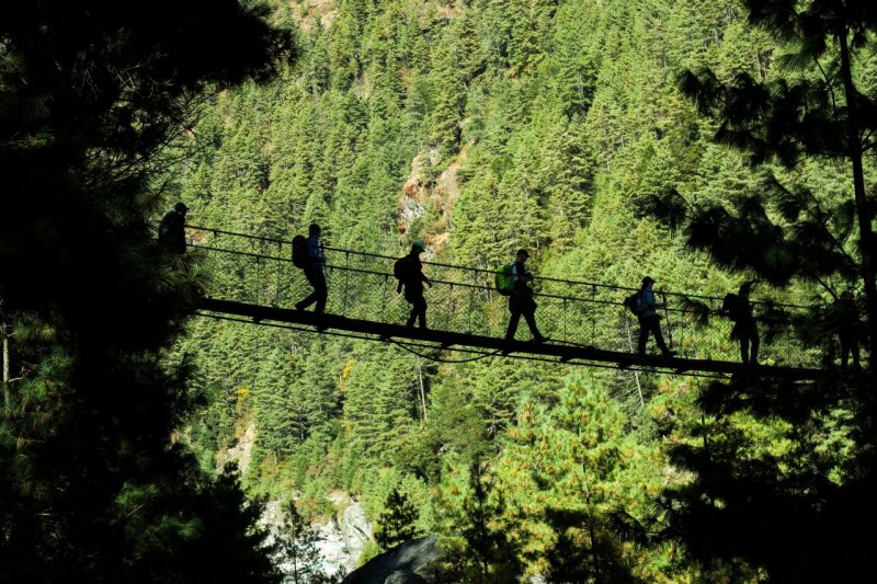 people walking across a suspension bridge in the woods 
