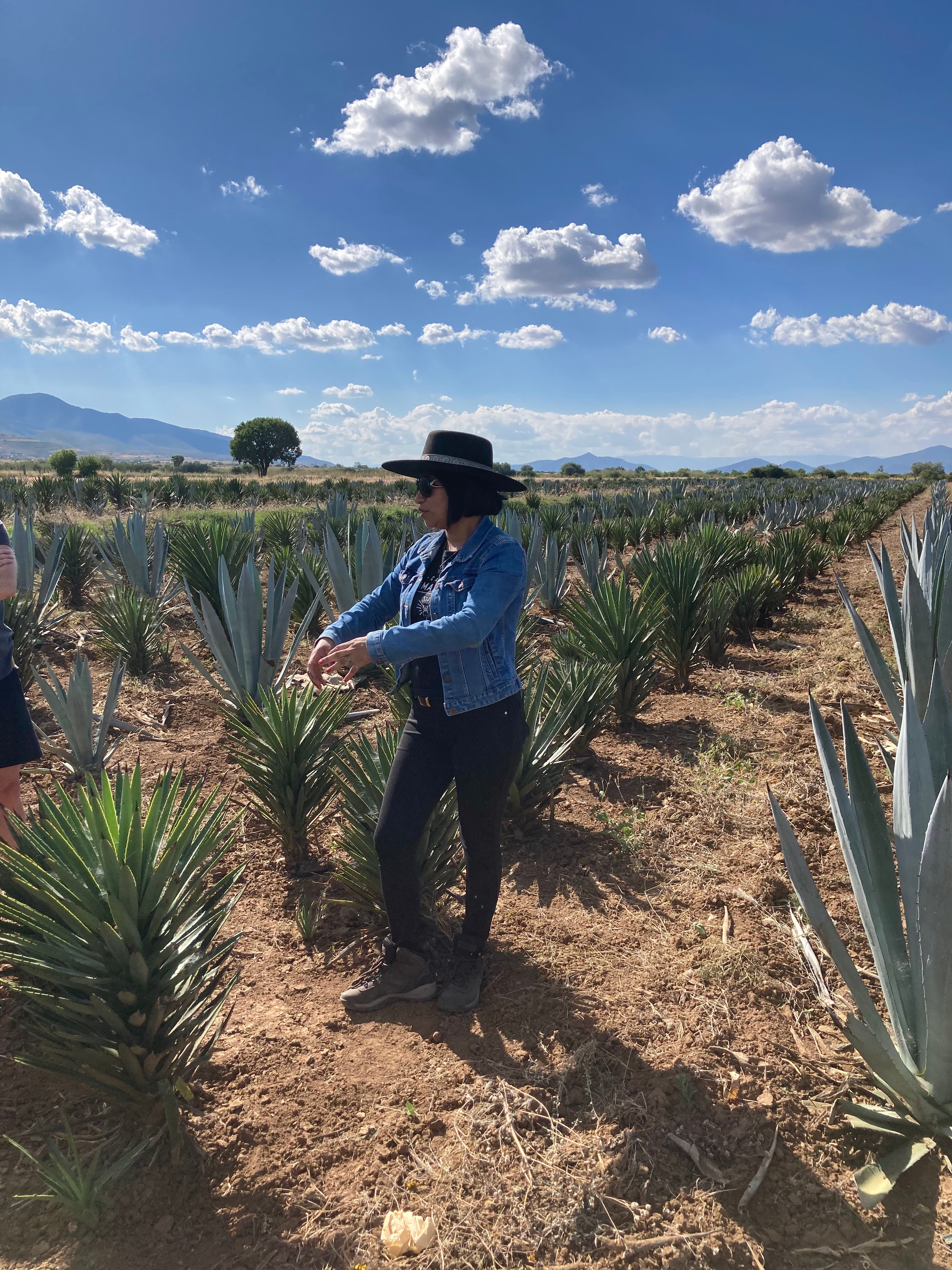 Rosario Gabriel from Mezcal Amaras discussing agave production with XMNR students and faculty in Oaxaca, Mexico. Photo: Amy Hubbard