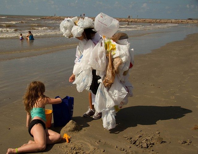 beach bag monster