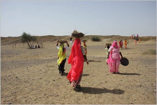 Thar Desert women